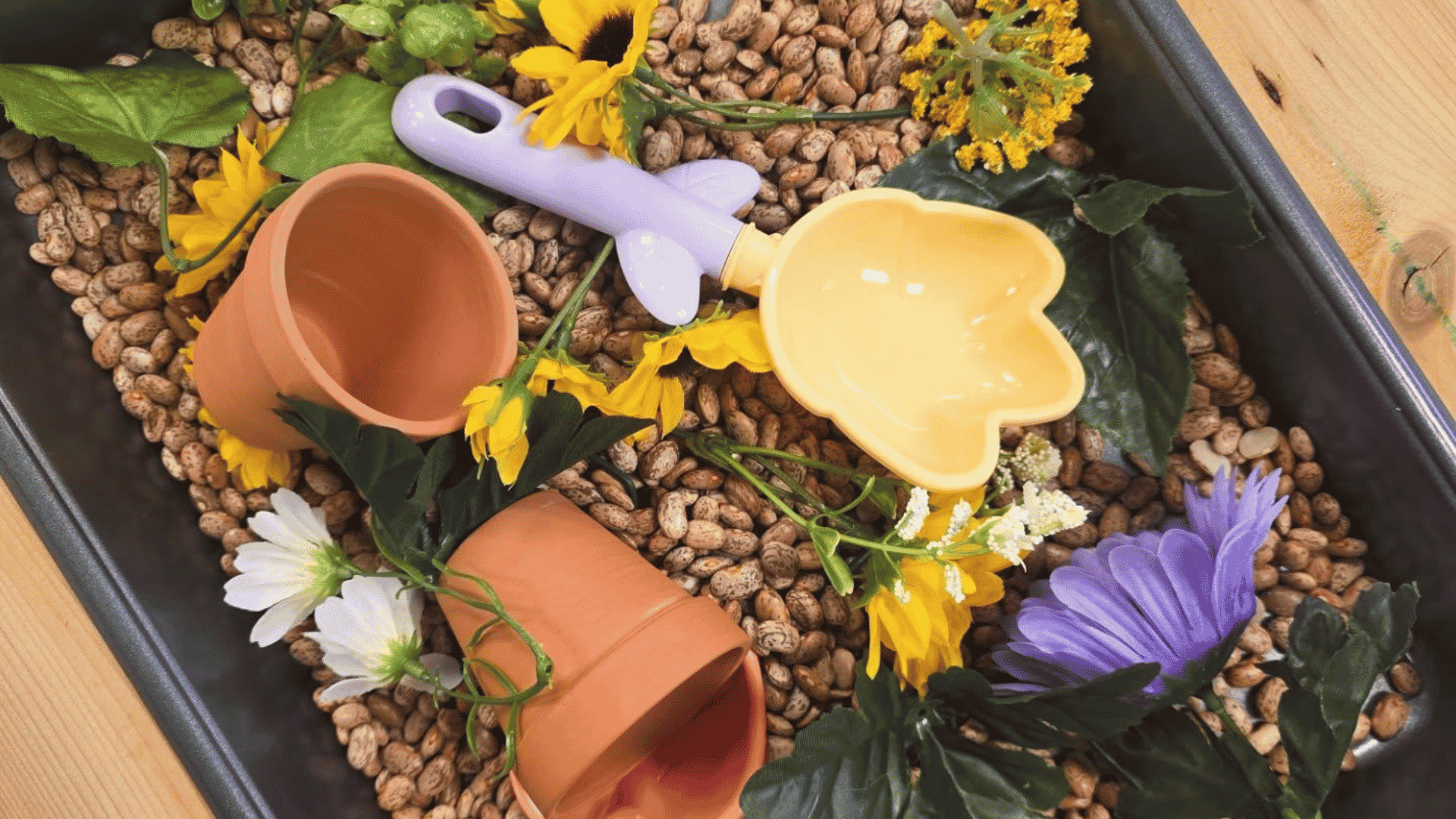 Quail Lakes Preschool: Nature Play-Based Learning